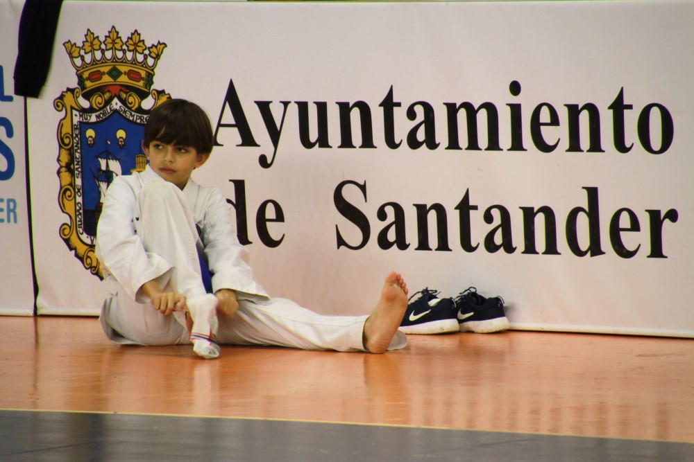 Taekwondo Dic 2016 (190).jpg